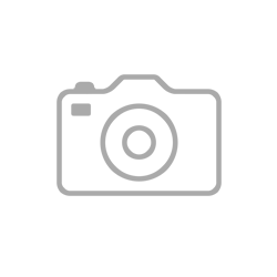МФУ Canon imageRUNNER 2204N